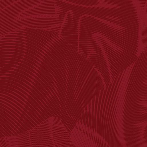 BTX Echo - 16261-19 Dark Red - Cotton Fabric