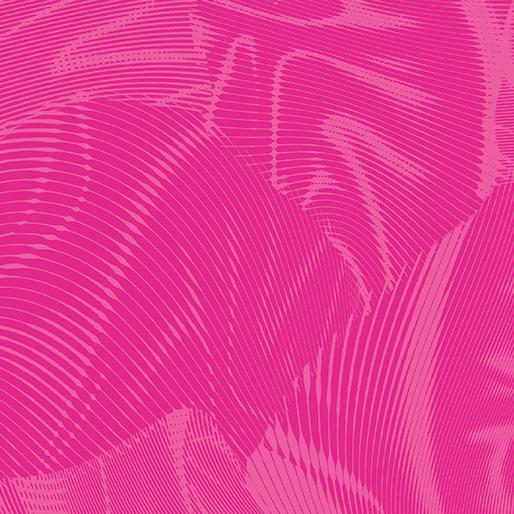BTX Echo - 16261-24 Fuchsia - Cotton Fabric