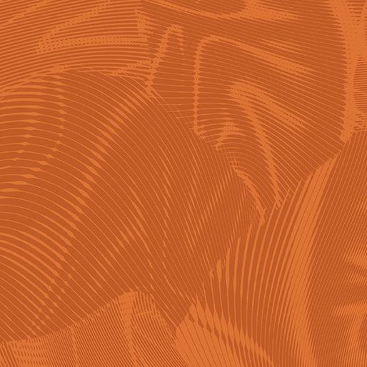 BTX Echo - 16261-35 Pumpkin - Cotton Fabric