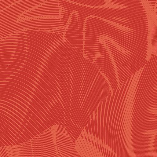 BTX Echo - 16261-38 Orange - Cotton Fabric