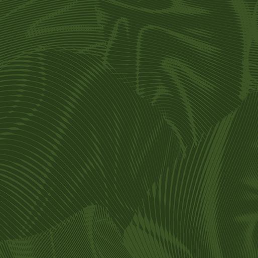BTX Echo - 16261-45 Dark Green - Cotton Fabric