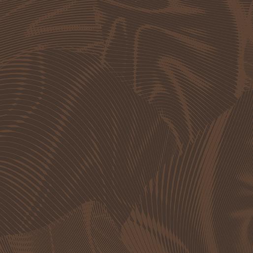 BTX Echo - 16261-76 Medium Brown - Cotton Fabric