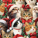BTX Merry Cats Portraits - 16773-99 Multi - Cotton Fabric