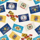 BTX Mid-Atlantic Shop Hop 2024 Flags - 14706-07 Cream - Cotton Fabric