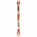 CHK DMC 6 Strand Floss - 117UA-3064 - Notions