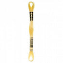 CHK DMC 6 Strand Floss - 117UA-3078 - Notions