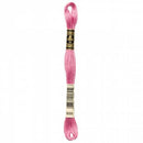 CHK DMC 6 Strand Floss - 117UA-3688 - Notions