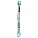 CHK DMC 6 Strand Floss - 117UA-3811- Notions