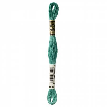 CHK DMC 6 Strand Floss - 117UA-3816 - Notions