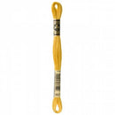 CHK DMC 6 Strand Floss - 117UA-3821 - Notions