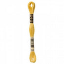 CHK DMC 6 Strand Floss - 117UA-3822 - Notions