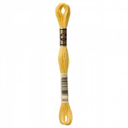 CHK DMC 6 Strand Floss - 117UA-3822 - Notions