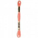 CHK DMC 6 Strand Floss - 117UA-3824 - Notions