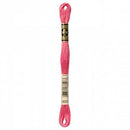 CHK DMC 6 Strand Floss - 117UA-3833 - Notions