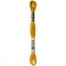 CHK DMC 6 Strand Floss - 117UA-3852 - Notions