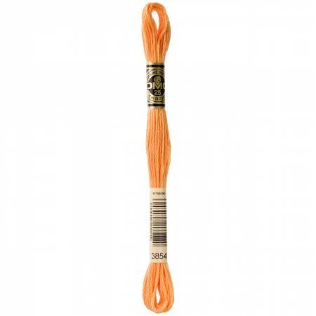 CHK DMC 6 Strand Floss - 117UA-3854 - Notions