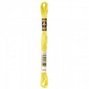 CHK DMC 6 Strand Floss - 117UA-472 - Notions