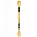 CHK DMC 6 Strand Floss - 117UA-677 - Notions