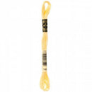 CHK DMC 6 Strand Floss - 117UA-745 - Notions