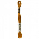 CHK DMC 6 Strand Floss - 117UA-781 - Notions