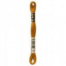 CHK DMC 6 Strand Floss - 117UA-782 - Notions