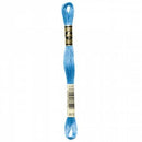 CHK DMC 6 Strand Floss - 117UA-813 - Notions