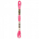 CHK DMC 6 Strand Floss - 117UA-899 - Notions