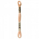 CHK DMC 6 Strand Floss - 117UA-945 - Notions