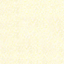 CHK Tulle Ivory 666-3-IVORY - Nylon Netting Fabric