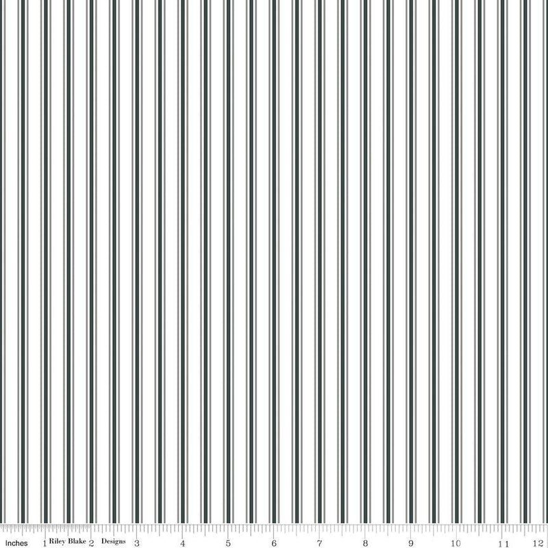 CWH A Walk On The Prairie Stripes - C15234-DEEPRIVER - Cotton Fabric