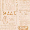 CWH Americana - C16080-CIDER - Cotton Fabric