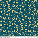 CWH Baby Boy Moons - C16762-OXFORD - Cotton Fabric