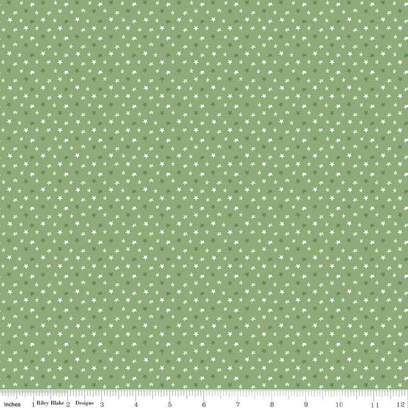 CWH Baby Boy Stars - C16766-BASIL - Cotton Fabric