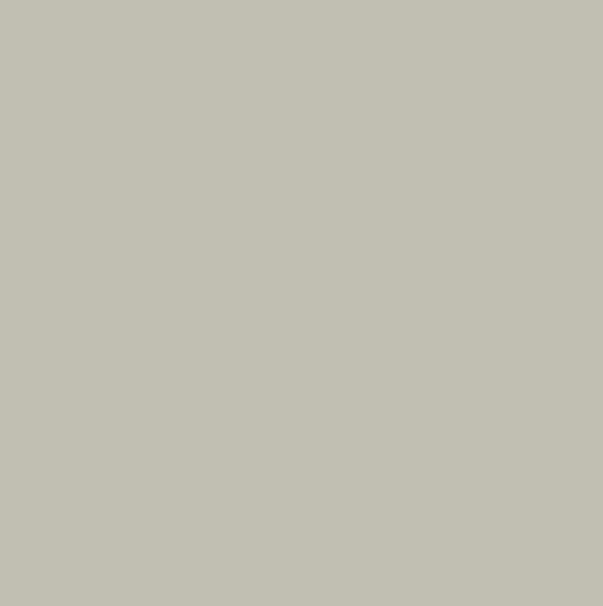 CWH Confetti Cotton Solids - C120-ASH - Cotton Fabric