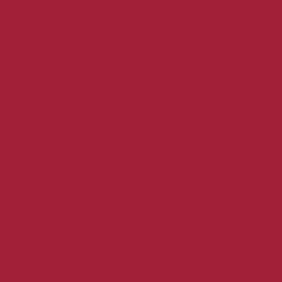CWH Confetti Cotton Solids - C120-BARNRED - Cotton Fabric