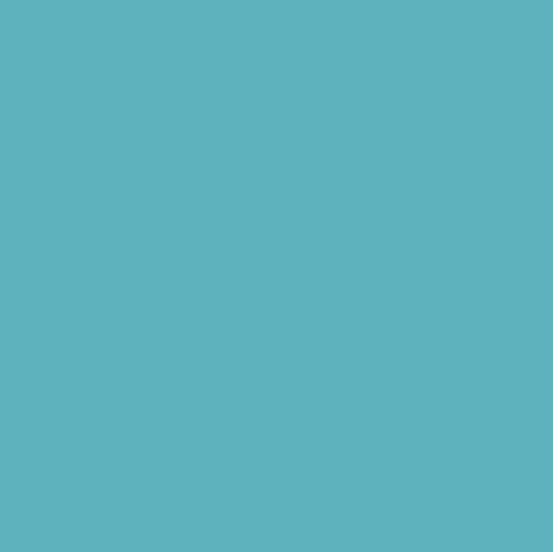 CWH Confetti Cotton Solids - C120-BEARLAKE - Cotton Fabric