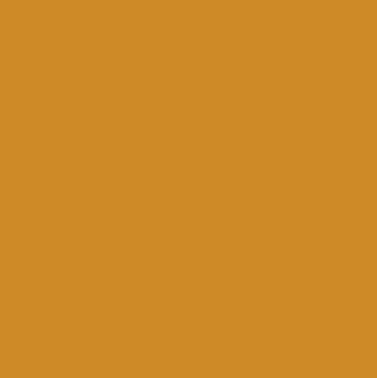 CWH Confetti Cotton Solids - C120-BUTTERSCOTCH - Cotton Fabric