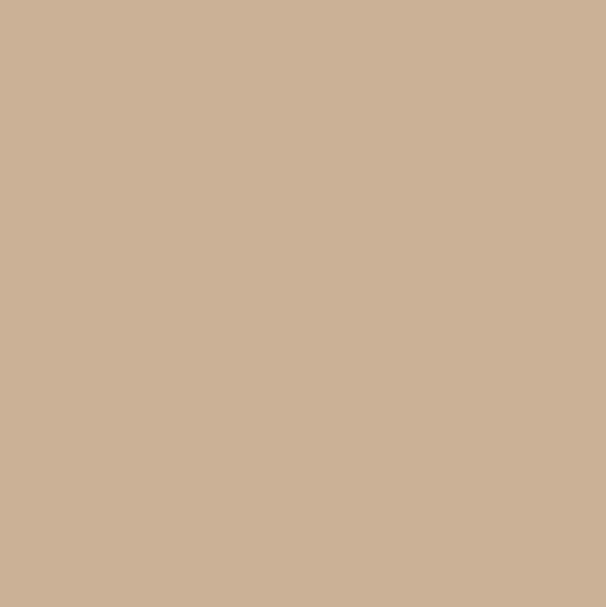 CWH Confetti Cotton Solids - C120-CAPPUCCINO - Cotton Fabric
