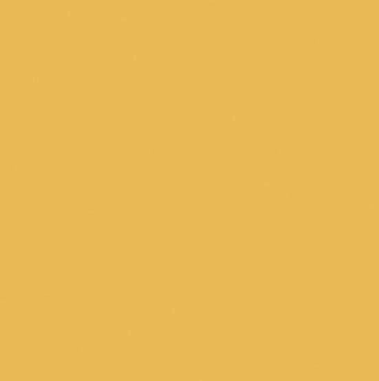 CWH Confetti Cotton Solids - C120-HONEY - Cotton Fabric