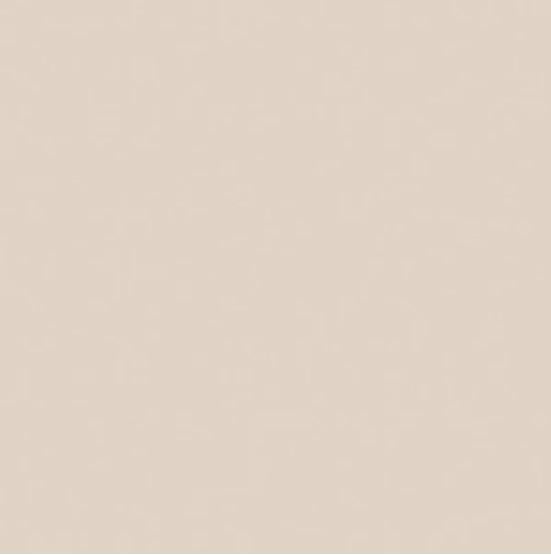 CWH Confetti Cotton Solids - C120-LATTE - Cotton Fabric