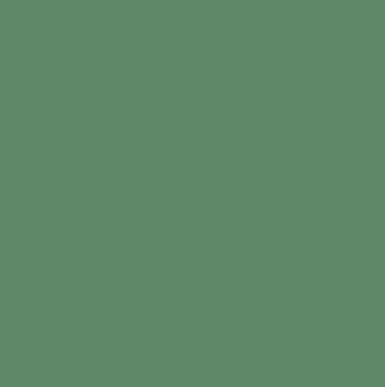 CWH Confetti Cotton Solids - C120-LODGEPOLE - Cotton Fabric