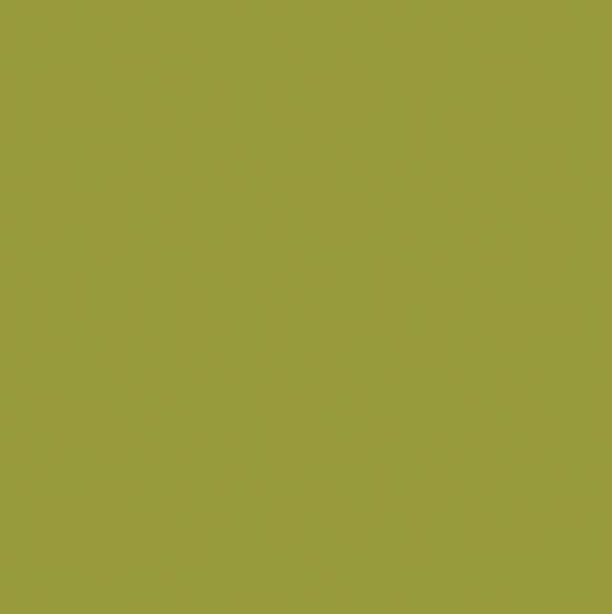 CWH Confetti Cotton Solids - C120-MOSS - Cotton Fabric