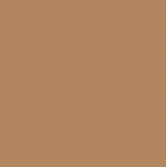 CWH Confetti Cotton Solids - C120-NUTMEG - Cotton Fabric