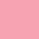 CWH Confetti Cotton Solids - C120-PEONY - Cotton Fabric