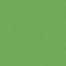 CWH Confetti Cotton Solids - C120-RILEYGREEN - Cotton Fabric