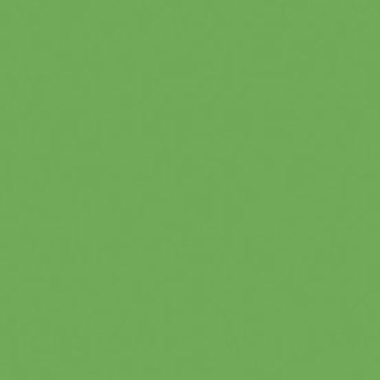 CWH Confetti Cotton Solids - C120-RILEYGREEN - Cotton Fabric