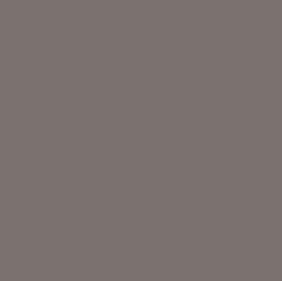 CWH Confetti Cotton Solids - C120-RUSTIC - Cotton Fabric