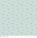 CWH Designer Flannel Make A Pretty Life Rainbows - F13337-MINT - Cotton Flannel Fabric