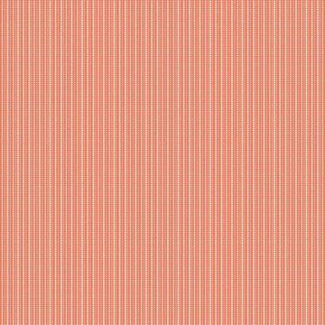 CWH Juju's Petals Stripes - C16615-ORANGE - Cotton Fabric