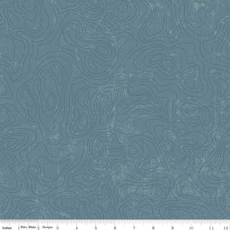 CWH National Parks Topographic - C13293-BLUE - Cotton Fabric